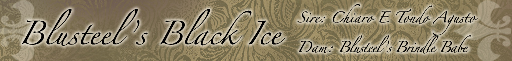 Ice Header