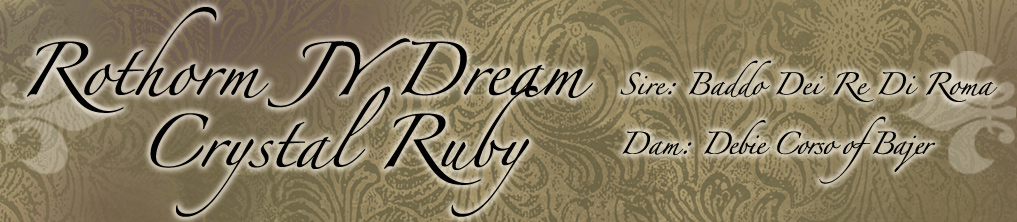 Ruby Header