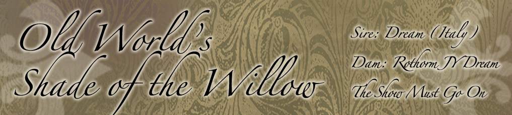 old world willow